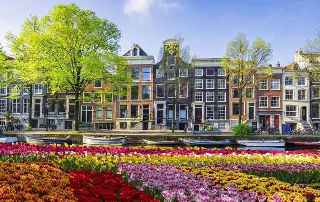 Real sensory therapy: 6 magical sights and smells of the Netherlands in spring