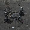 Russia's drone 'safari' against Ukrainian civilians tops 16,000 documented cases