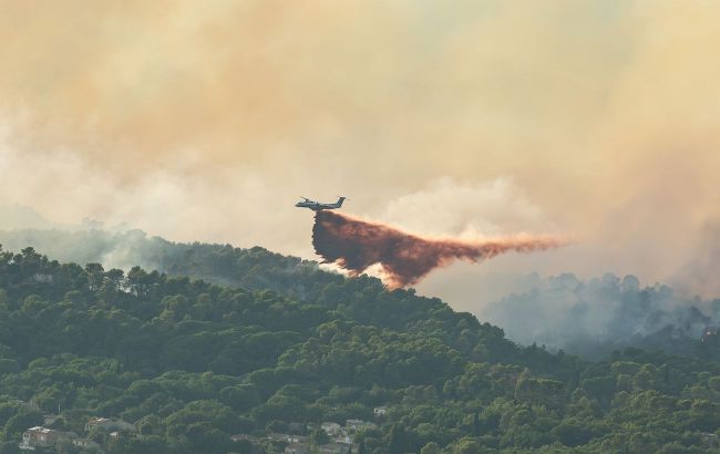 Ukraine sends firefighters to help battle wildfires in France