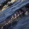 Massive oil spill hits Black Sea in Russia, spreading toward Crimea
