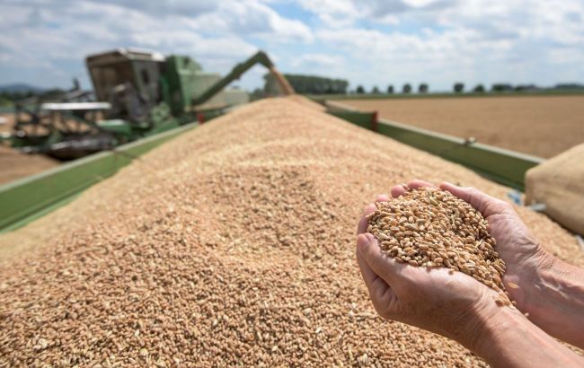 World food prices fall amid record grain harvest - UN