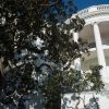Trump to plant new tree at the White House after historic magnolia removal