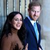 Princess Diana's brother hints at possible meeting with Meghan and Harry