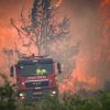 Massive wildfire near Jerusalem: Roads closed, dozens injured from smoke