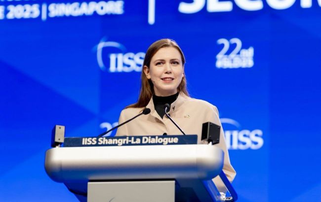 Lithuania fights for Ukraine's NATO membership despite pressure