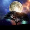 Last Spring Full Moon makes three zodiac signs lucky: All dreams come true