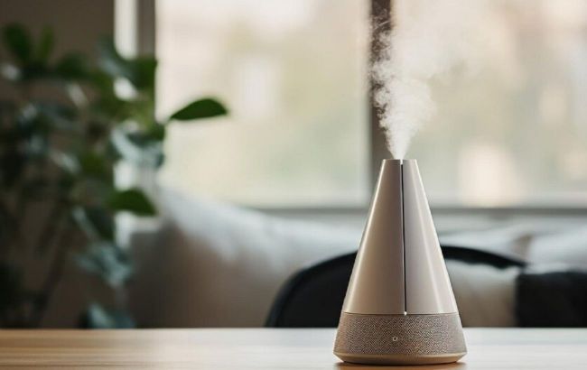 No more scratchy throat and watery eyes - How to overcome air dryness in your apartment