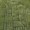 One of Europe's largest corn mazes has opened in Hungary