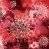 Mysterious virus first time detected in Europe, no vaccine available