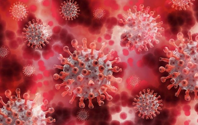 Mysterious virus first time detected in Europe, no vaccine available