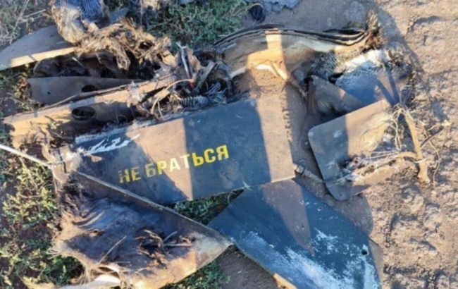 Gerans hunter: Ukrainian drone learns to intercept Russian decoys