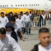 Return of migrants: Venezuela announces resumption of flights with US