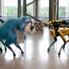 Meet dancing robot dog Sparkles: Entertaining footage appears online