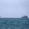 Bulgaria rules out NATO Articles 4 and 5 after Black Sea ship attack