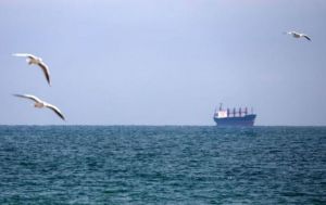 Bulgaria rules out NATO Articles 4 and 5 after Black Sea ship attack