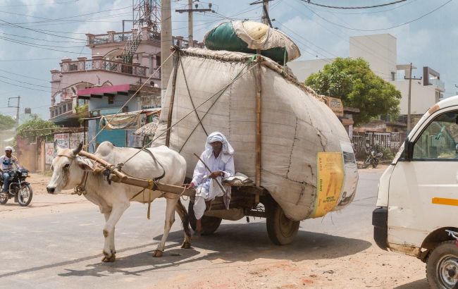 7 surprising things that really annoy tourists in Asia