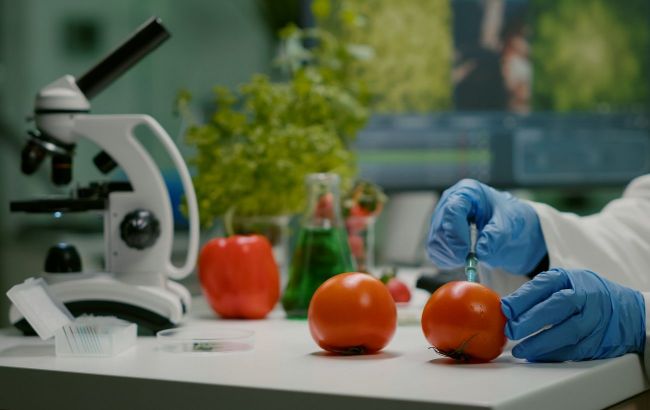 GMO in diet: Risks you need to know and how to recognize them