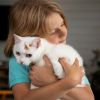 7 best cat breeds for kids