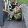 Russia kills 3 Ukrainian rescuers in Kyiv during night attack