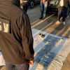 Cocaine concealed in bananas: 'Ndrangheta members sentenced in Ukraine