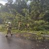 Fierce tornado in Poland destroys homes, rips roofs off buildings