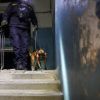 Strikes in Poltava region: State Emergency Service releases photos of aftermath