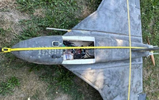Lithuania explains decision not to shoot down Russian Gerbera drone