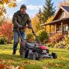 Get your lawn ready for winter: Essential tasks to tackle in October