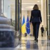 Ukraine moves closer to EU membership as two more negotiation chapters open