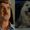 Life wrote these stories: Best movies based on true events
