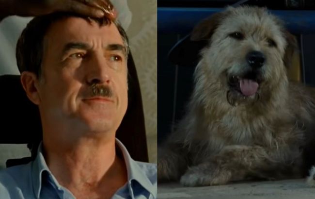 Life wrote these stories: Best movies based on true events