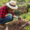 Is your garden soil exhausted? Key signs you can spot without lab tests