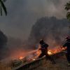 Forest fires in Greece - Police arrested 79 people on arson charges