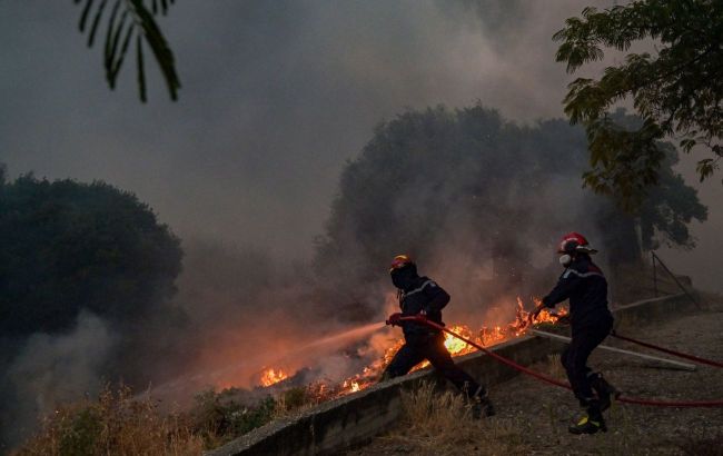 Forest fires in Greece - Police arrested 79 people on arson charges