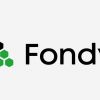 Experts assess the situation with Fondy payment service