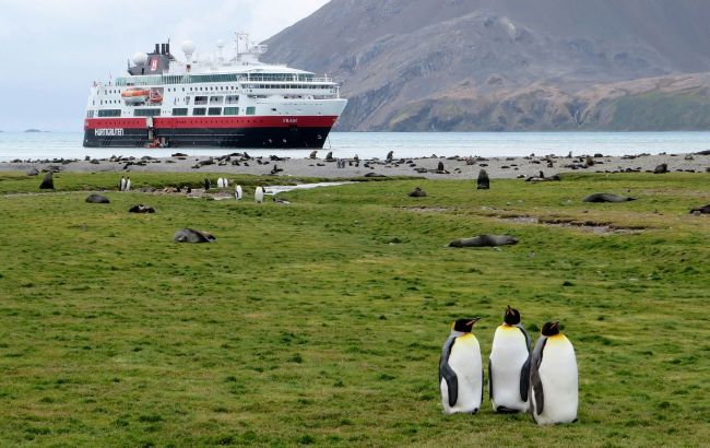 From polar bears to icebergs: Exploring Earth’s frozen frontiers