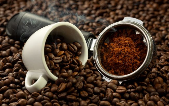 Arabica or Robusta: What's difference and which coffee is better to choose