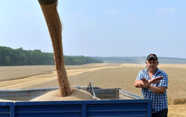 EU intends to extend grain import ban: Ukrainian MFA sharply reacts