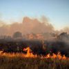 Mykolaiv region struggles with 50+ fires, homes and farms hit hard
