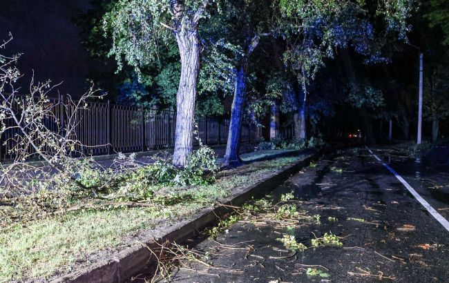 Kharkiv crippled by bad weather: No power, train chaos, and injuries reported