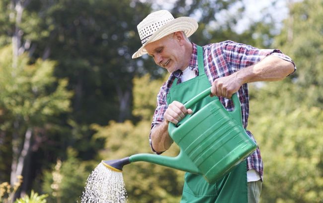 Every gardener should do this before 10 a.m. &ndash; it&rsquo;s crucial for your plants