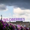 Drones strike Wildberries warehouses in Moscow and Leningrad regions