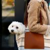 8 tips for comfortable and safe traveling with your pet